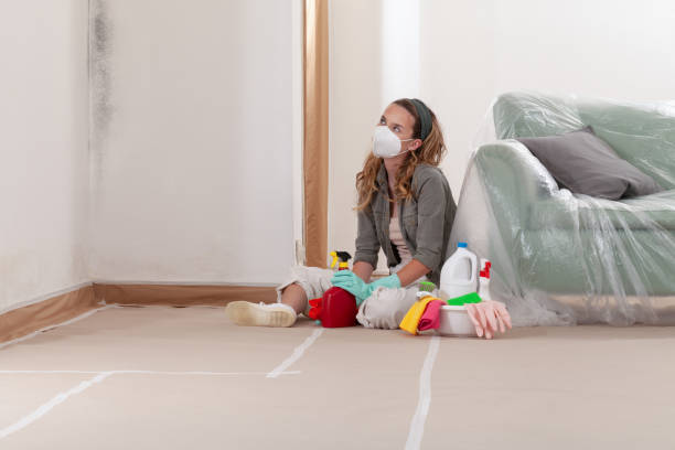 Reliable Mold Remediation contractor in Fort Lee, VA by Cheap Mold Removal